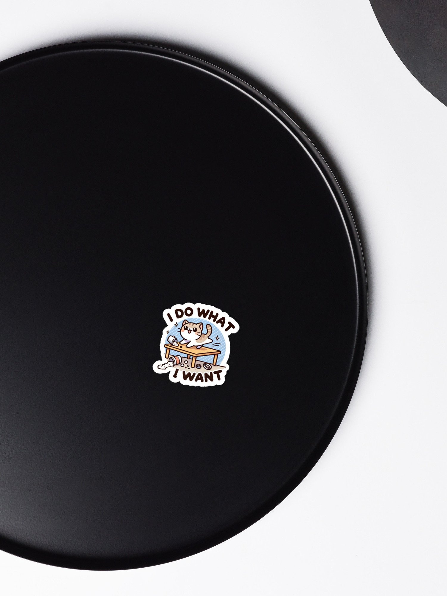 I do what I want magnet product image (6)