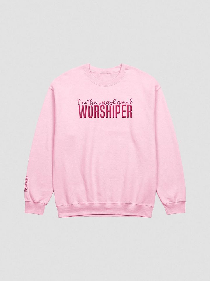 The Unashamed Worshipper Embroidered Sweatshirt- Light Colors product image (4)