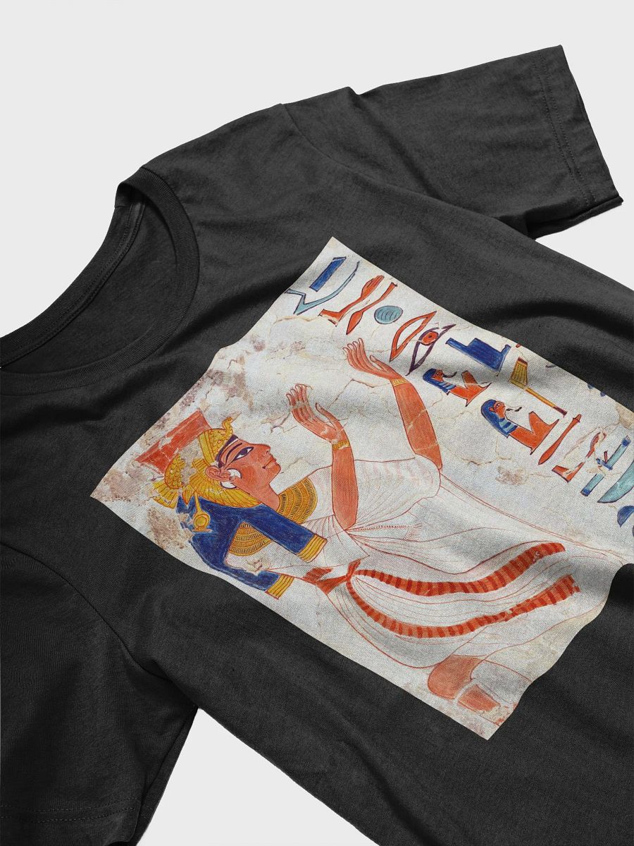 Queen Nefertari Kneeling in Adoration Ancient Egypt Art Unisex T-Shirt product image (3)