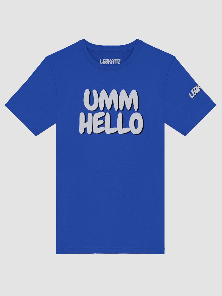 UMM HELLO?? Unisex Shirt product image (125)