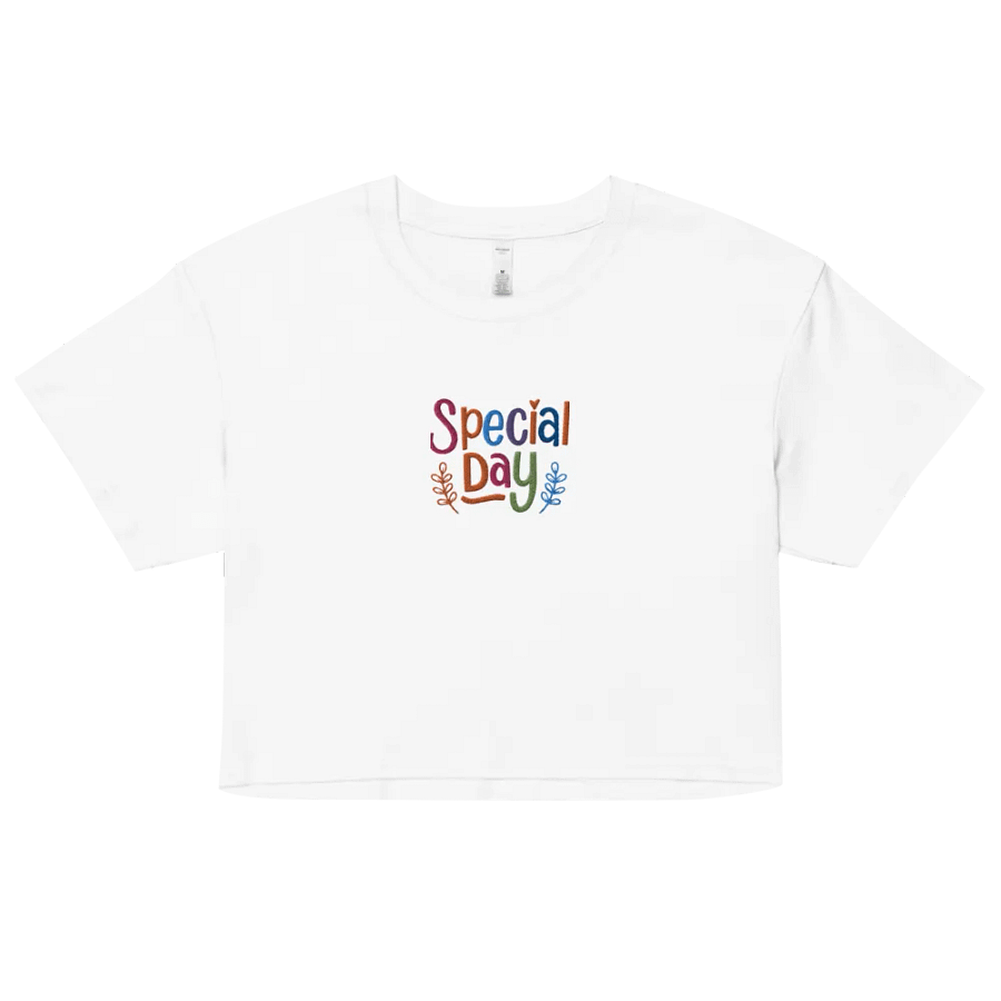 Embroidery Cheerful Celebration Crop Top product image (3)