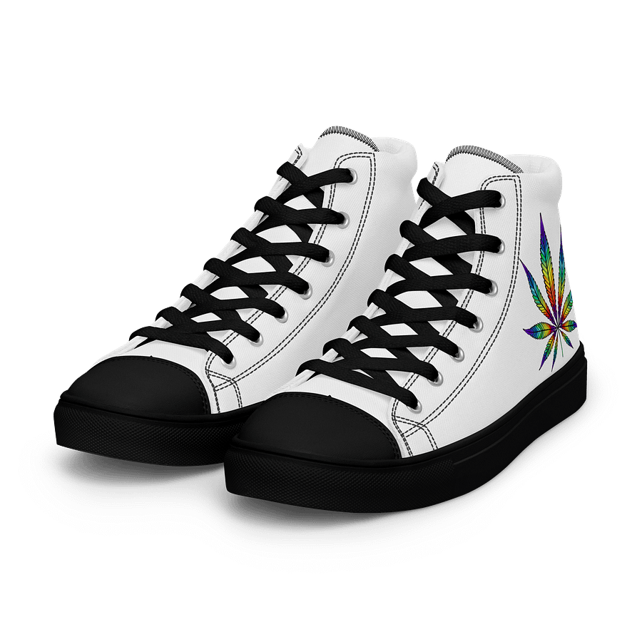 rainbow pot mens shoes product image (5)