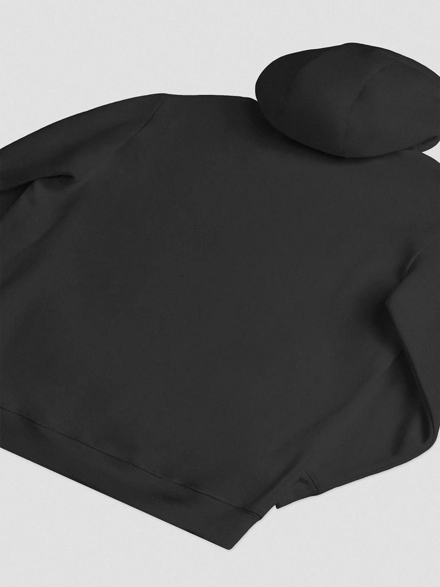Kill Sh*t Get Shiny the Hoodie product image (4)