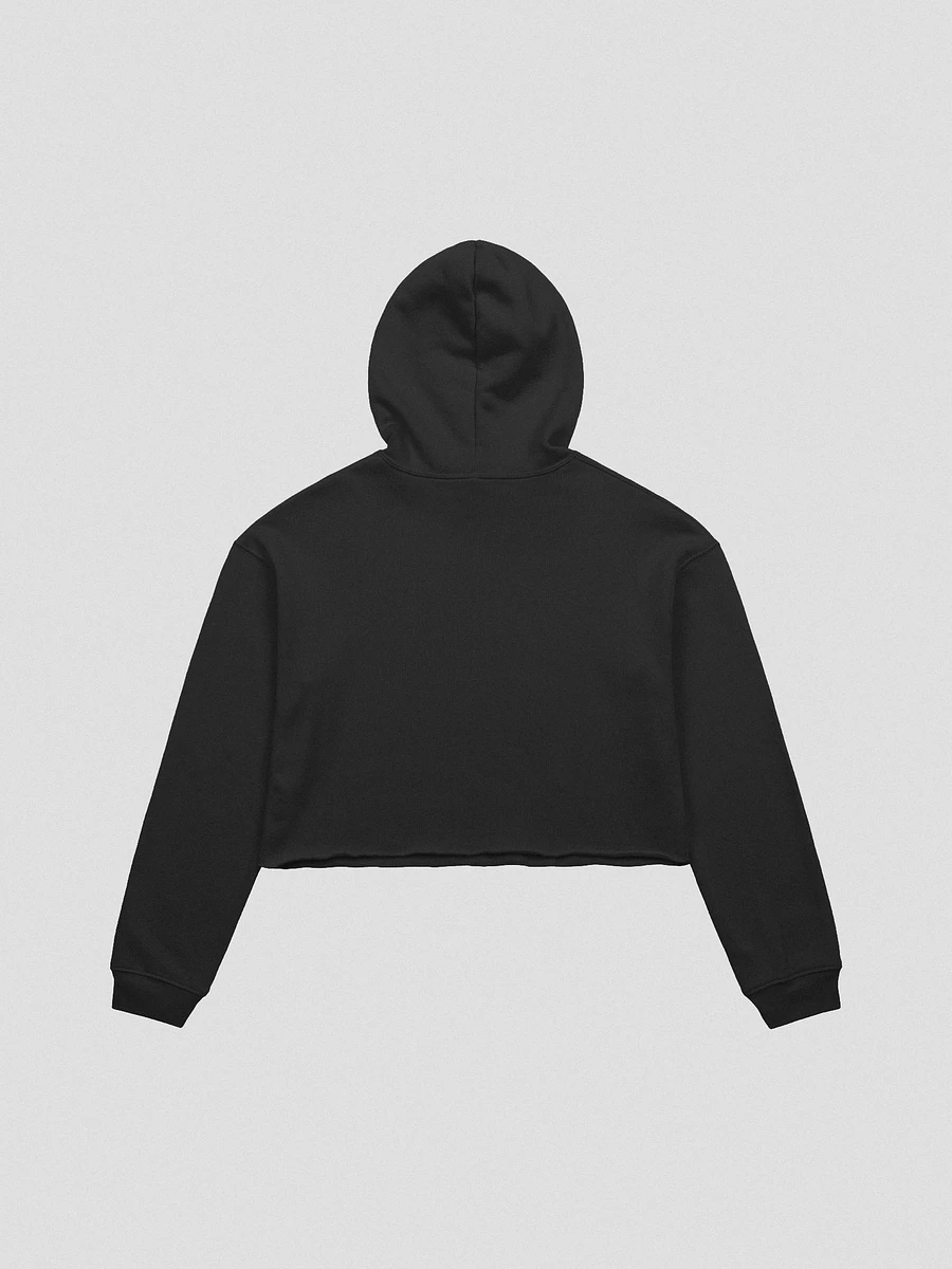 Oddlife Entertainment Crop Top Hoodie product image (5)