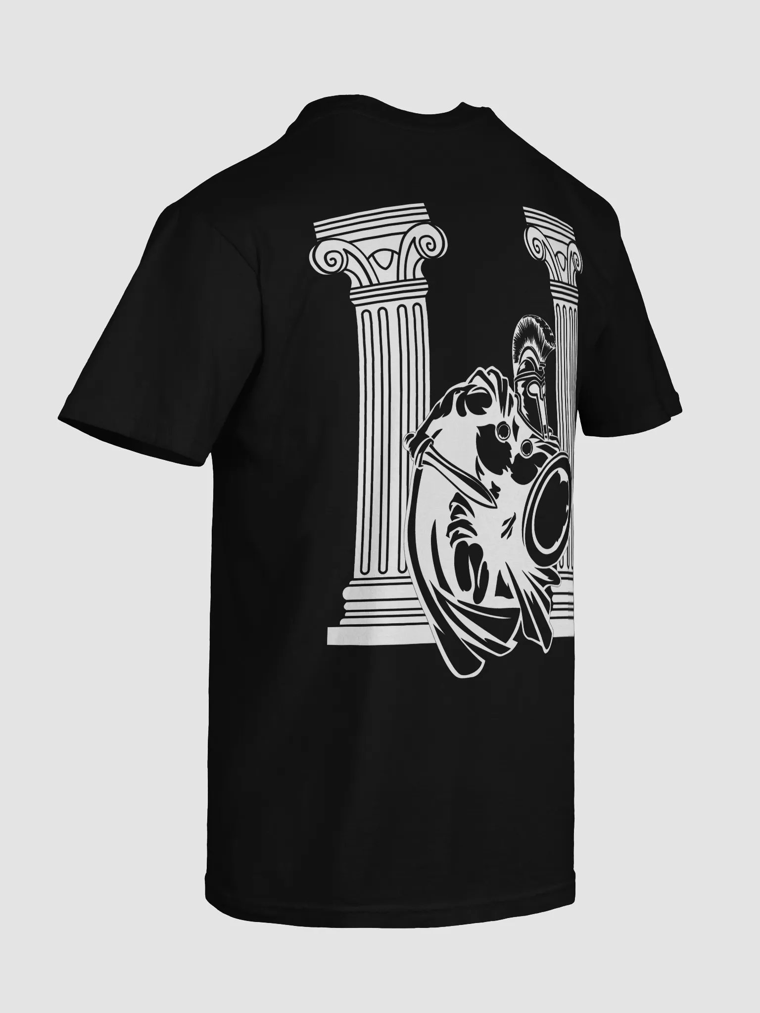 House Aegis | T-Shirt product image (101)