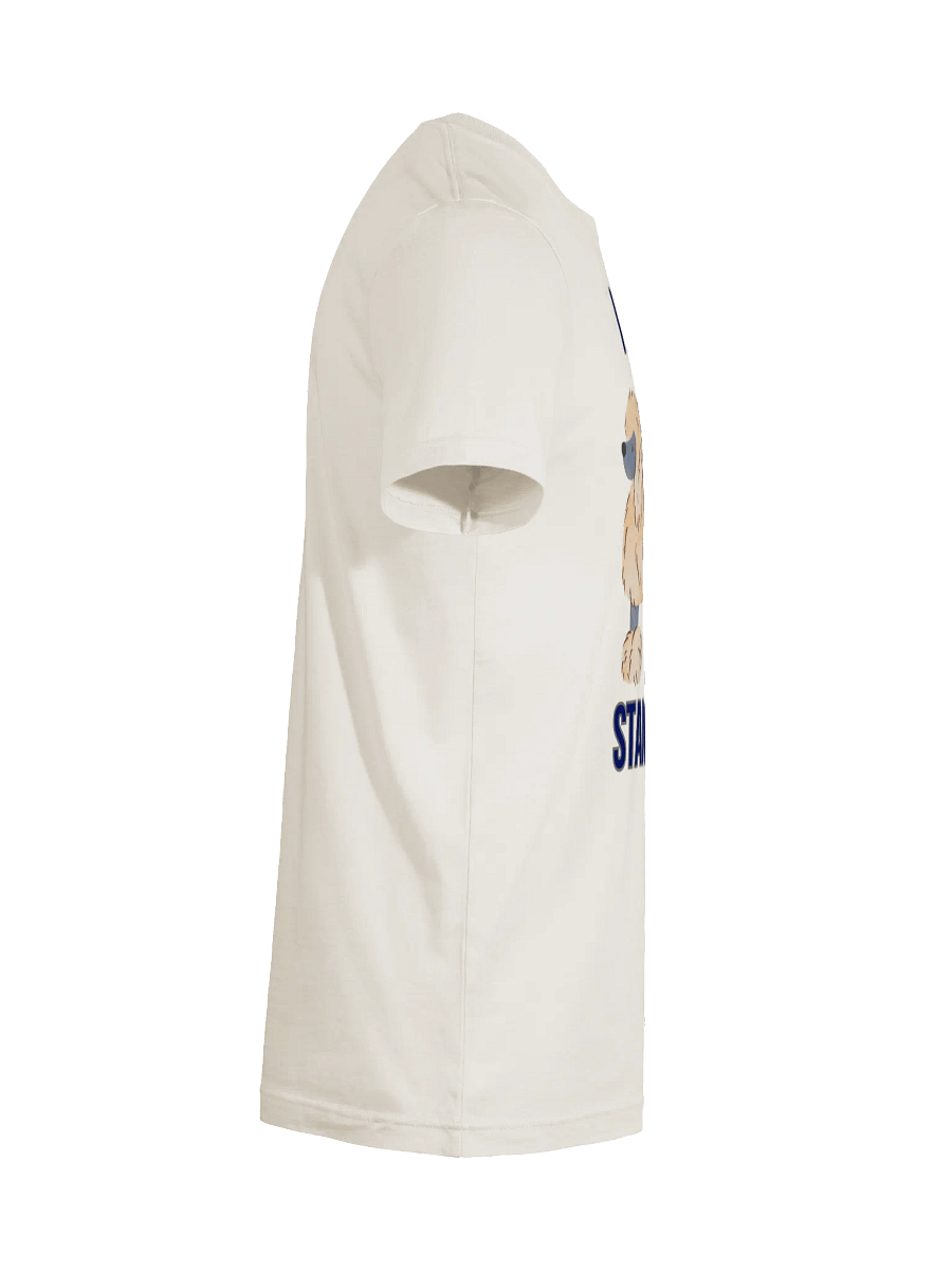 I HAVE STANDARDS T-Shirt product image (28)