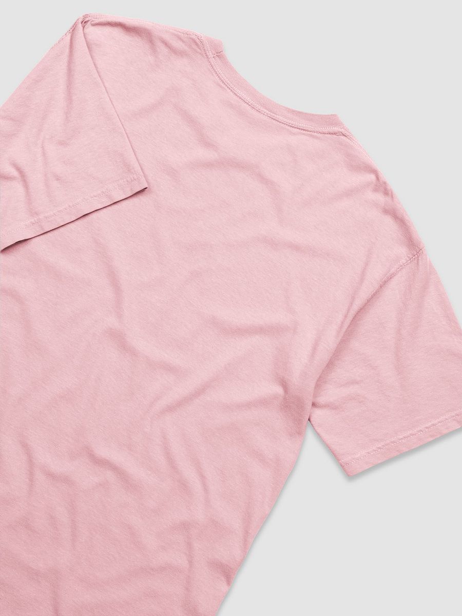 Patriotic Mentorship T-Shirt product image (79)
