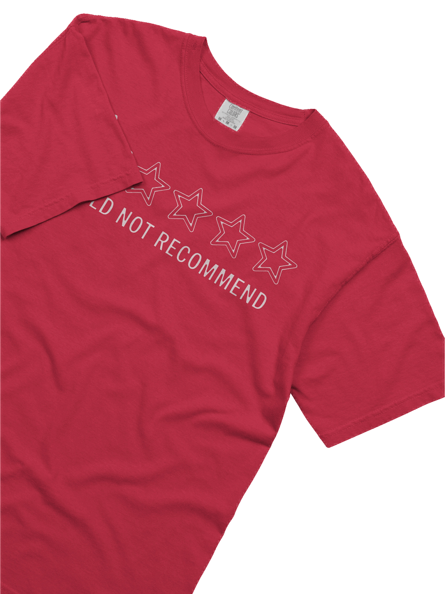 Would Not Recommend Tee product image (4)
