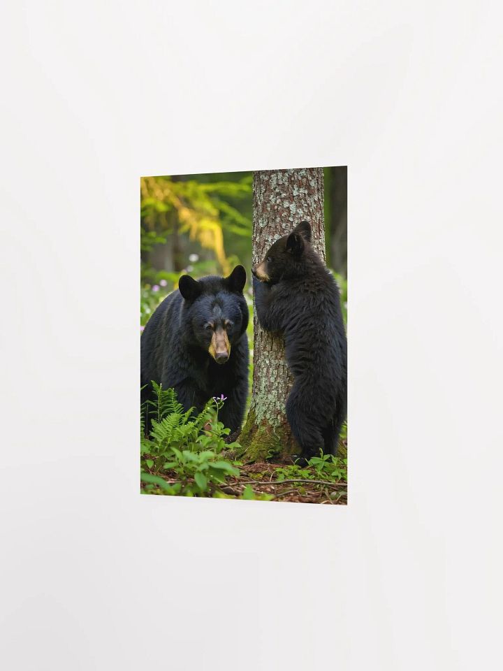 Forest Fun - Black Bears Hide and Seek Poster product image (2)