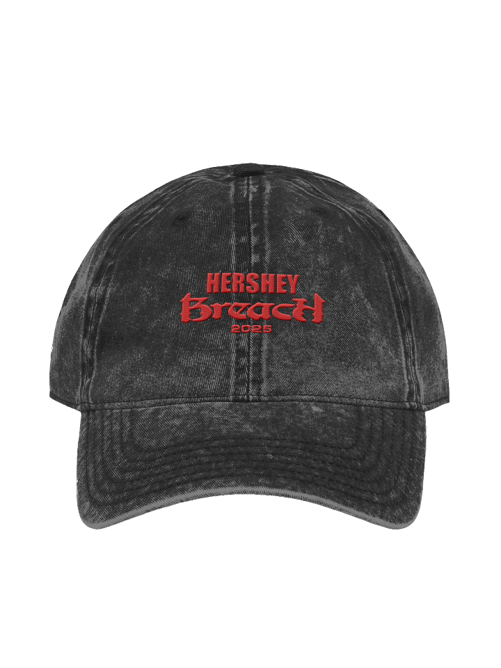 Breach Hersheypark Stadium Dad Hat product image (1)