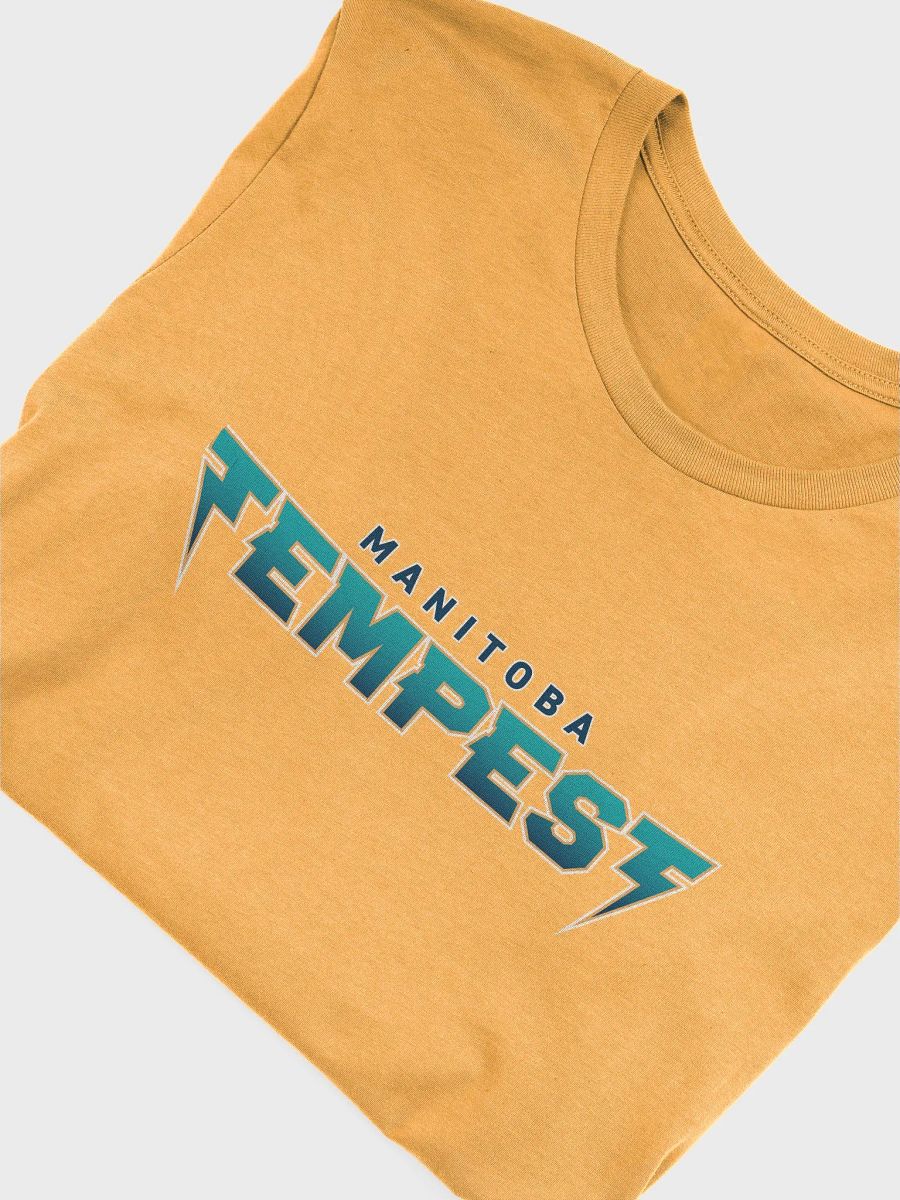Tempest Dodgeball Club T-Shirt (Sapphire) product image (5)