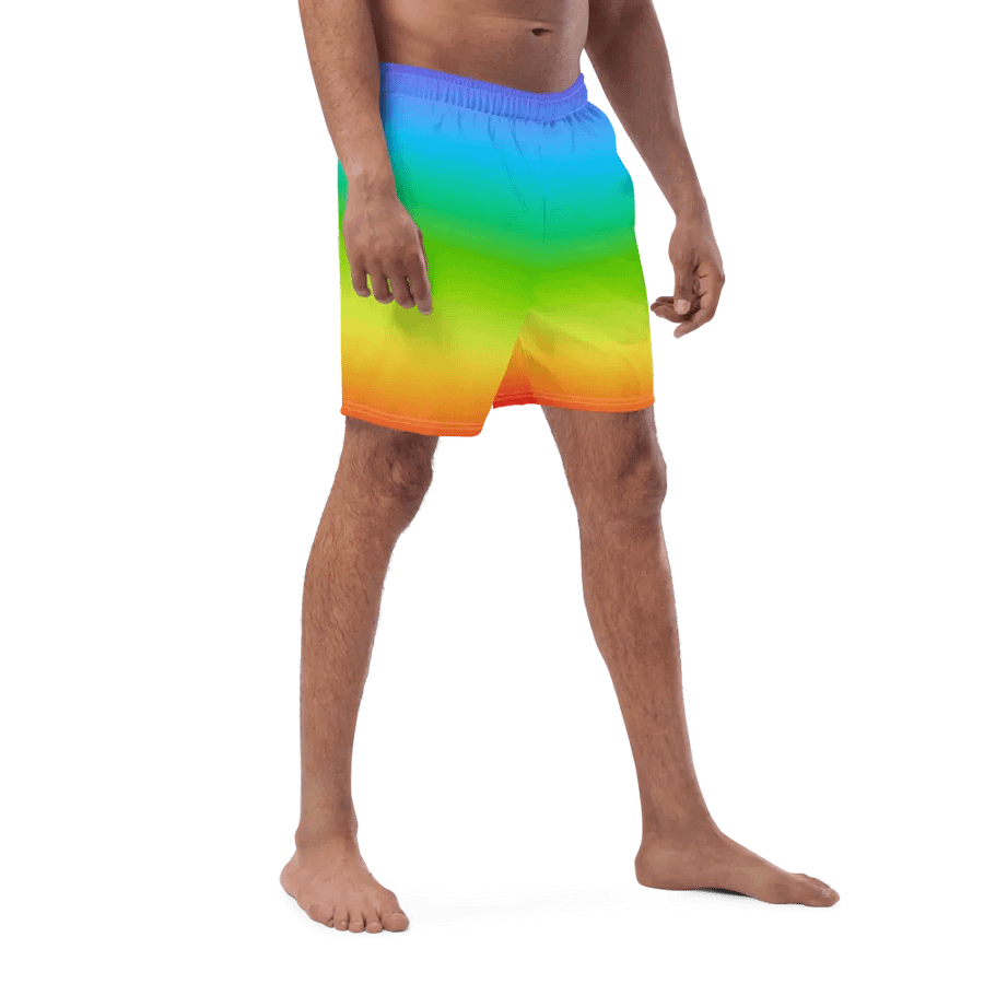 Rainbow Swim Trunks product image (8)