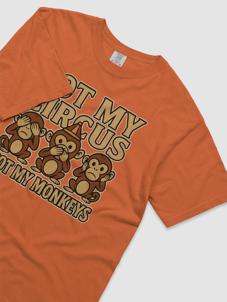 Not My Circus, Not My Monkeys Graphic Tee product image (51)