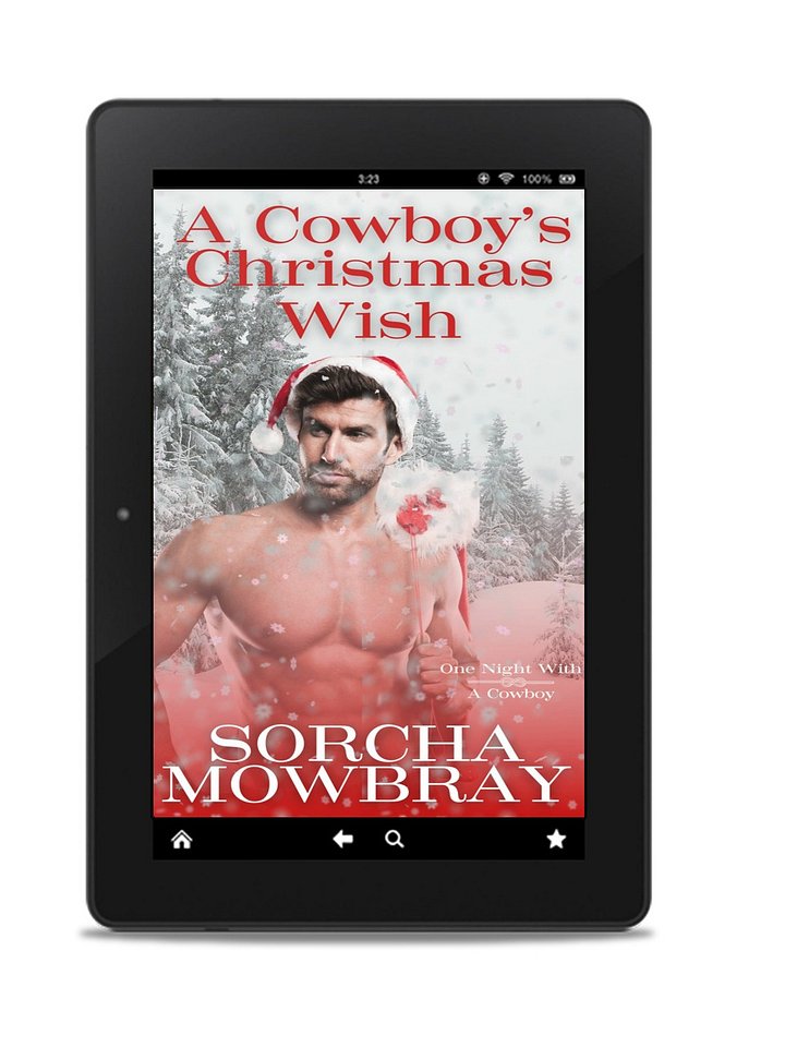 A Cowboy's Christmas Wish (One Night With A Cowboy, Book 3) product image (1)