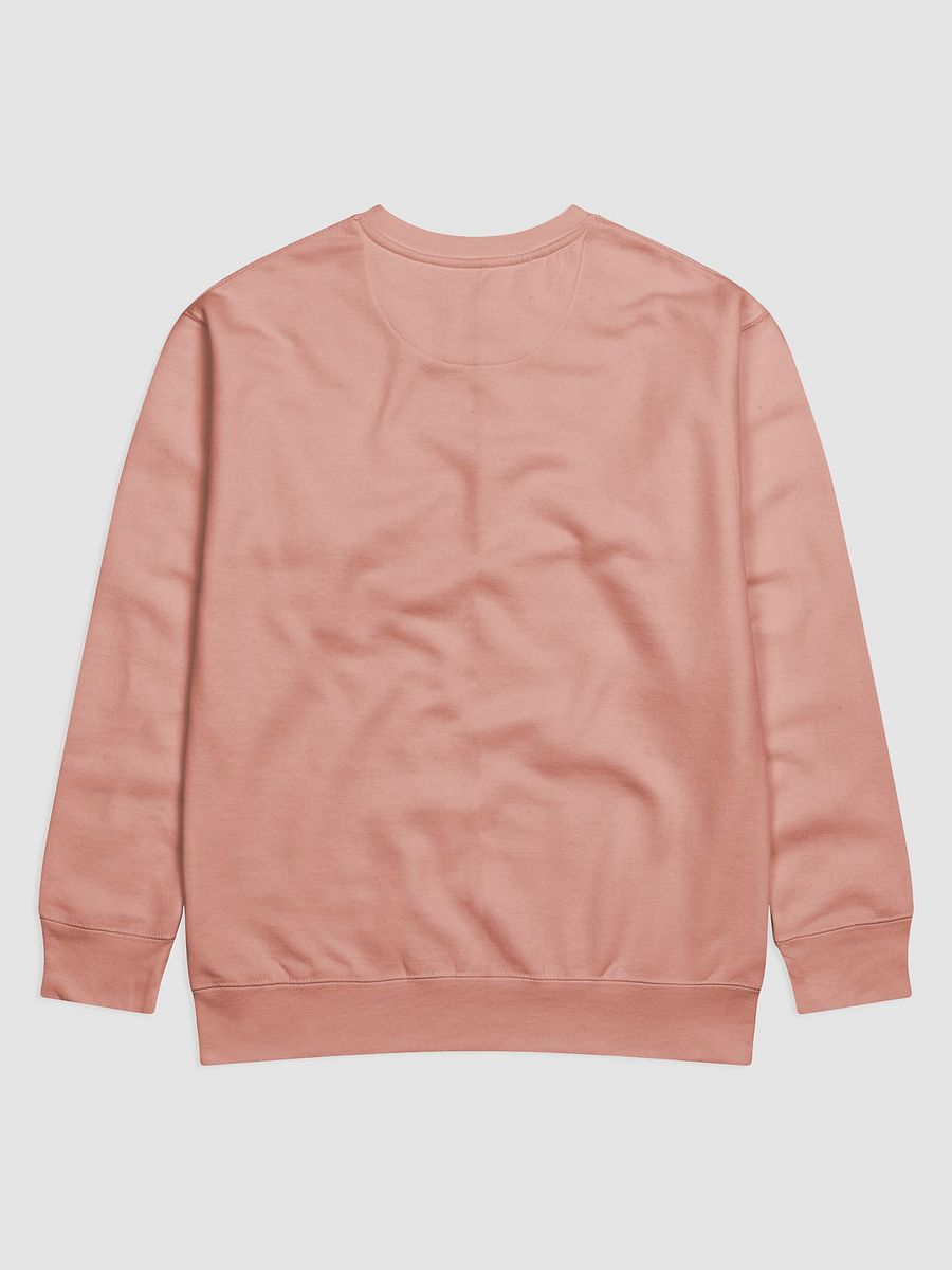 Sweat it! Fairy Type Gym Leader product image (31)