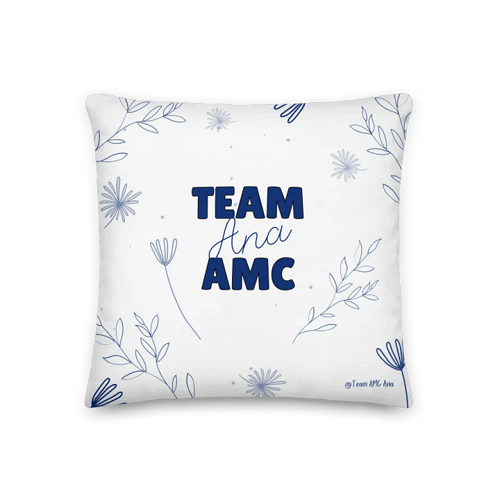 KPDBT - White/Blue Pillow product image (2)