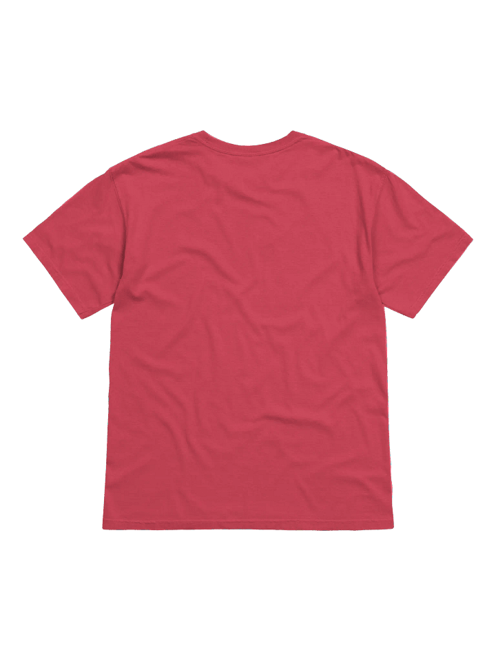 Malicious Compliance Tee product image (2)