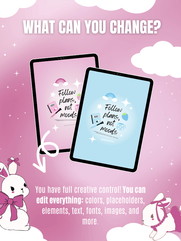 MRR/PLR Instagram Templates for Digitals product image (9)
