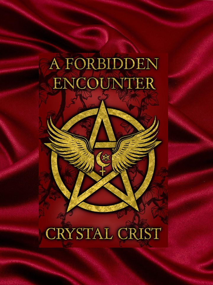 A Forbidden Encounter product image (1)