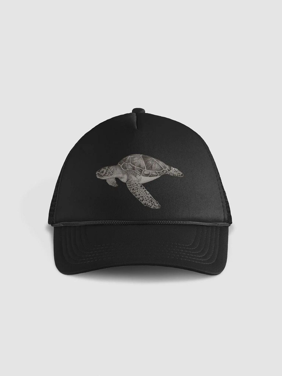 Turtle Drawing Hat product image (1)