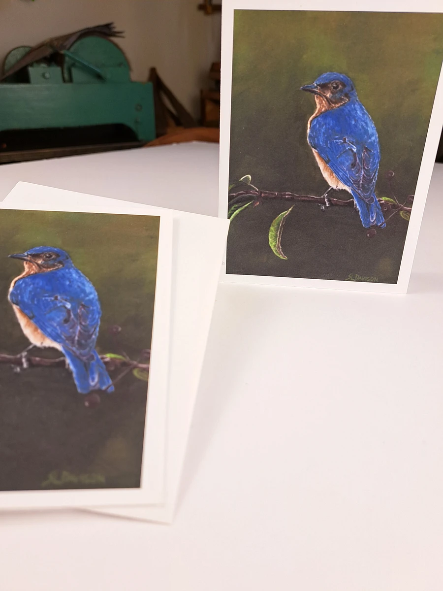 Wildlife Art Greeting Card - Bluebird - Shipping Included product image (3)