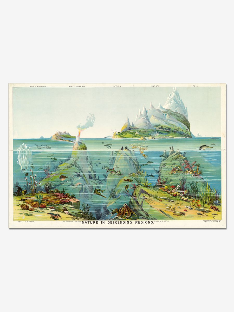 View of Nature in Descending Order – Geography Chart Poster product image (1)