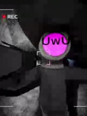 Whats He Saying