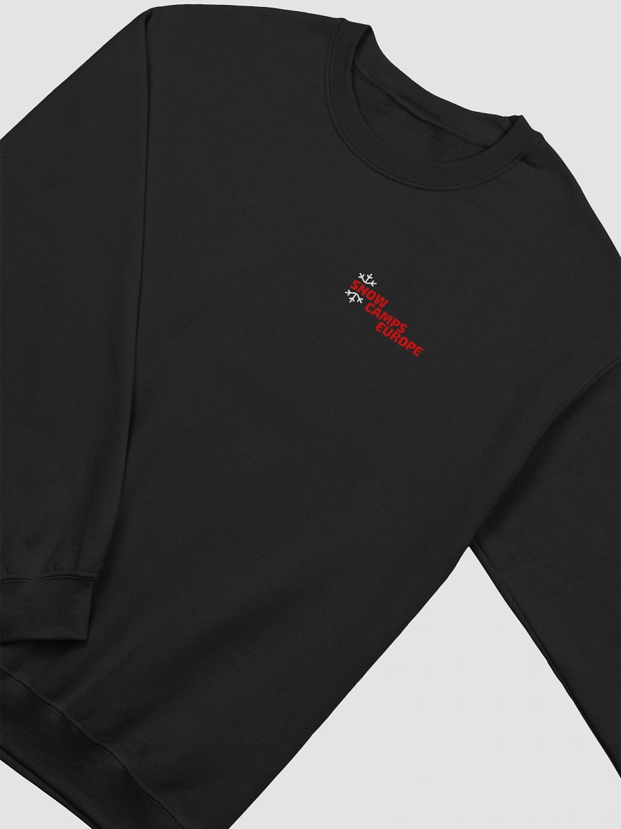 Fall. Learn. Repeat. Progress Sweater product image (3)