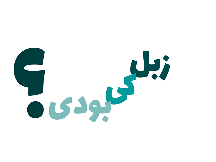 زبل کی بودی product image (2)