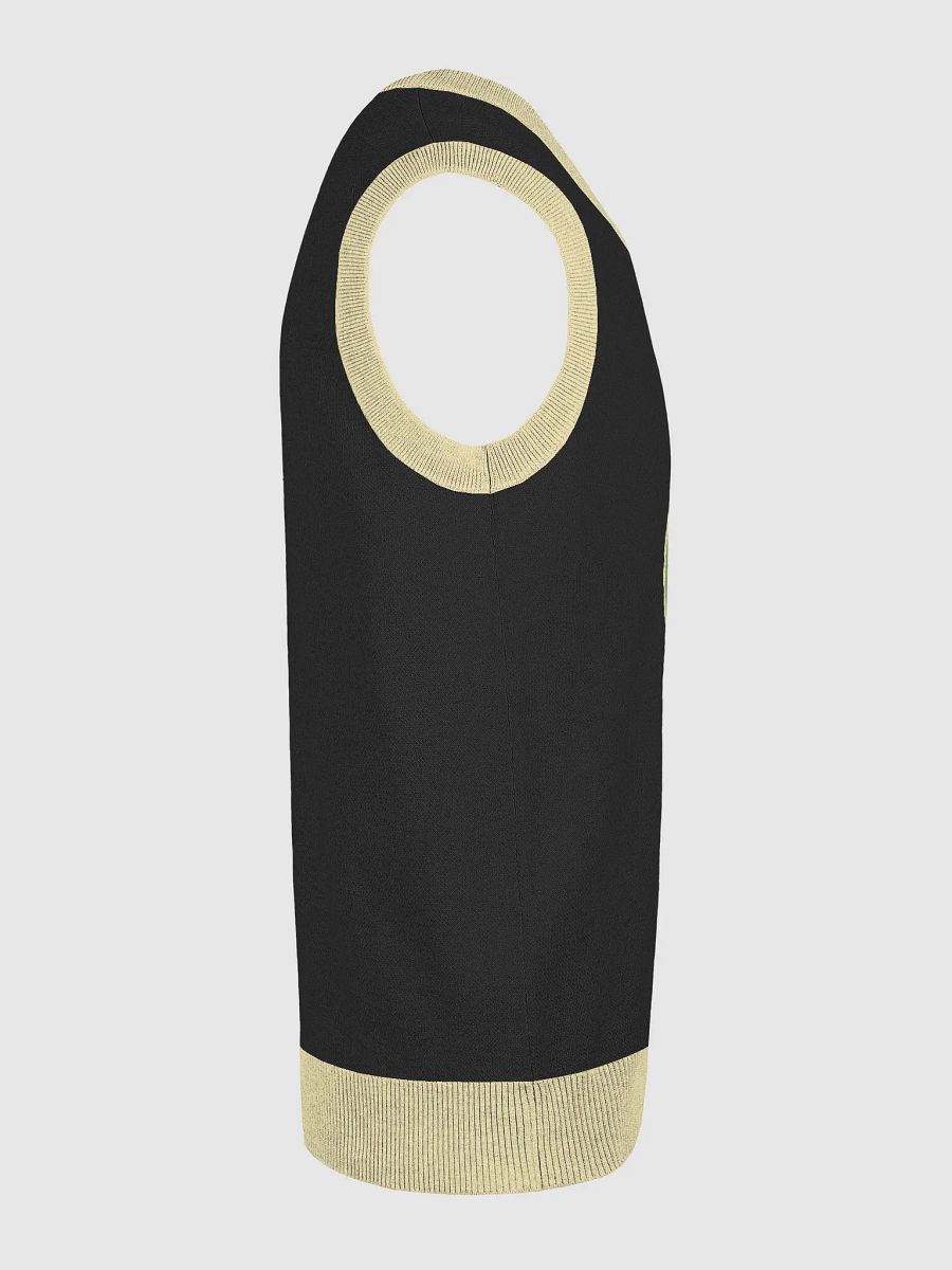 604 Vibes Knitted V-Neck Vest product image (22)