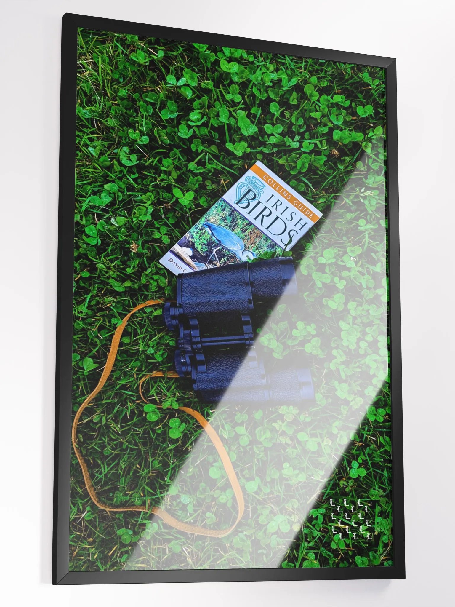 Birdwatching at Blackrock - Framed Print product image (2)