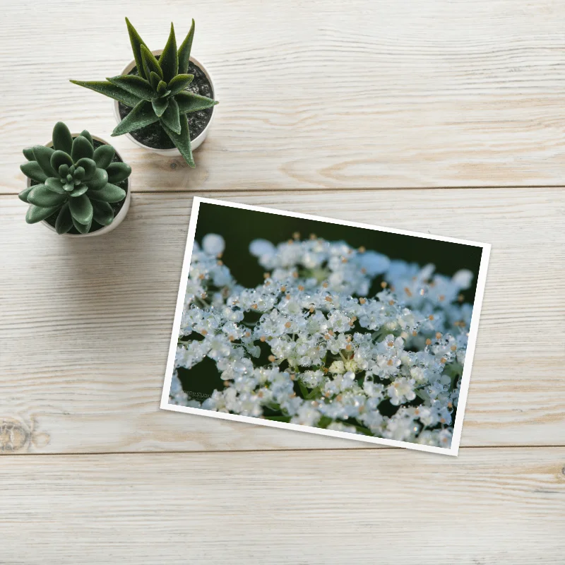 Dew Lace Greeting Card product image (1)