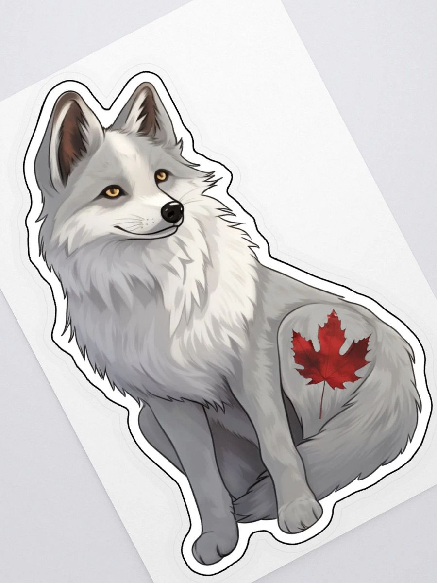Canadian Marble Fox product image (2)
