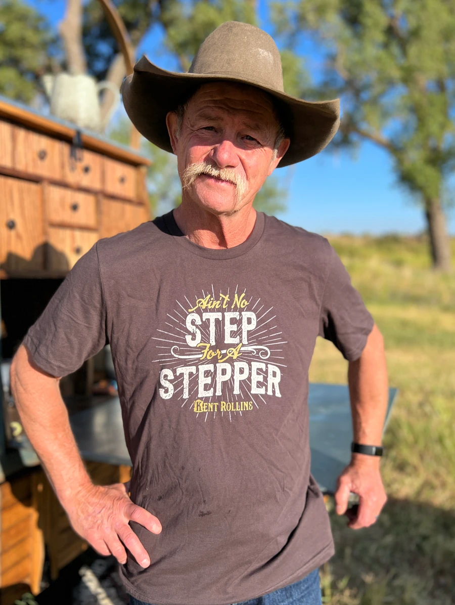 Ain't No Step For a Stepper T Shirt product image (4)