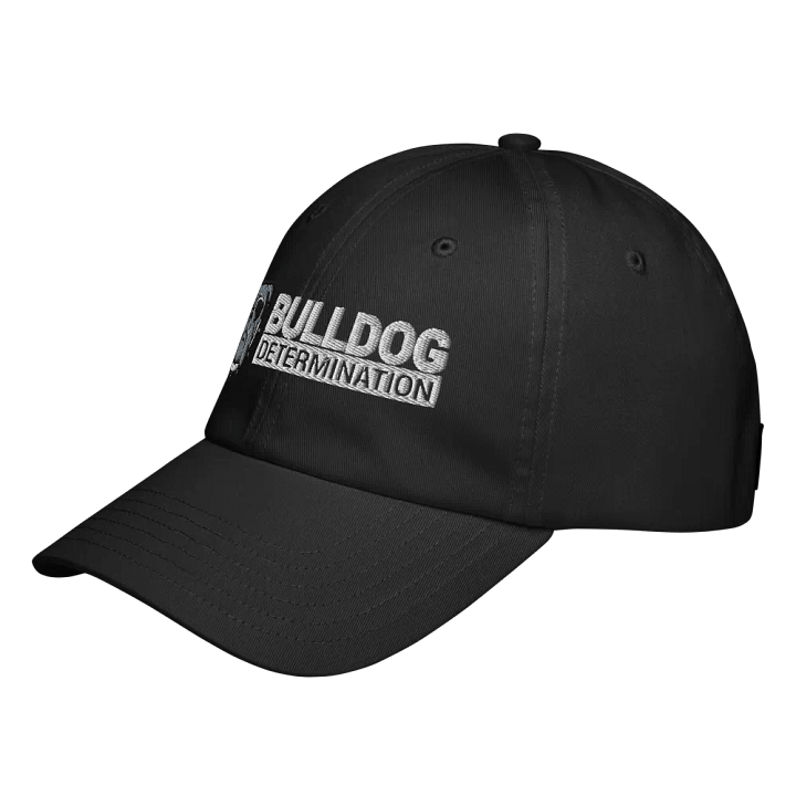 Hat product image (2)