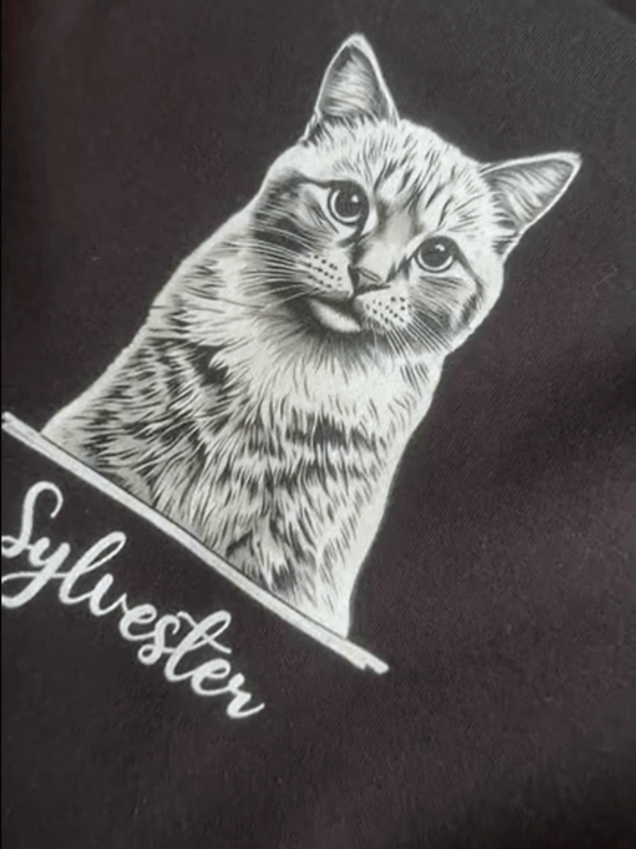 SYLVESTER 💙 / PRINTED HOODIE product image (2)