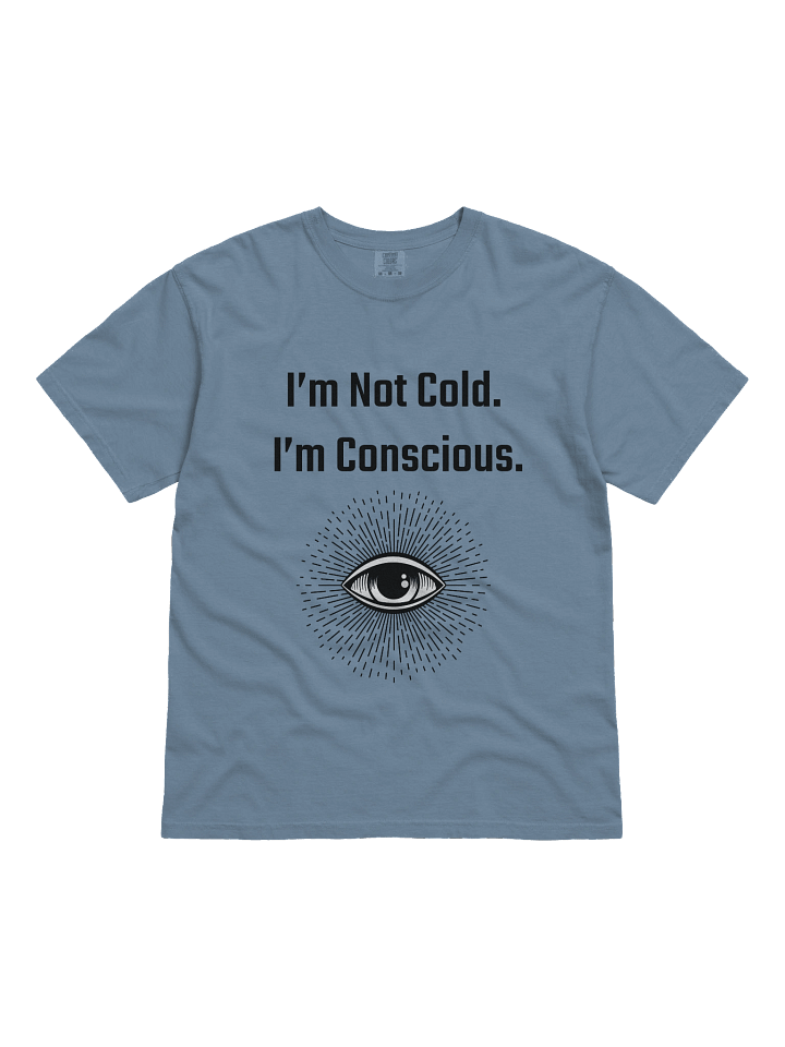 I am not Cold I am conscious product image (6)