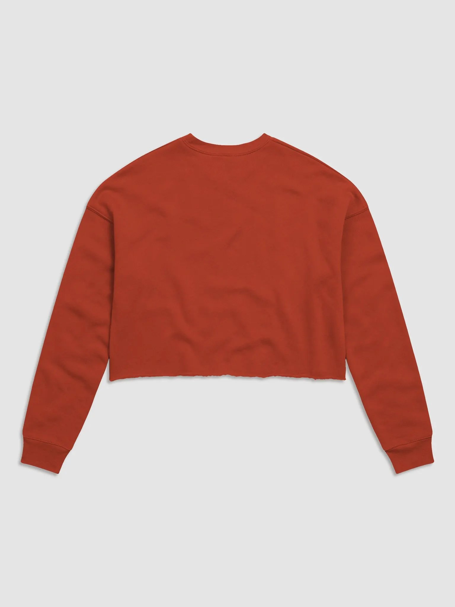 Cozy Sweatshirt Crop product image (6)