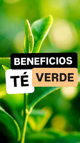 🍵 8 Beneficios del Té Verde para tu Cuerpo y Mente 🌿🧠

📢 ¿Sabías que el té verde es más que una bebida? Gracias a sus potente...