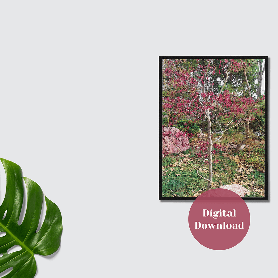 Pink Flower Tree Photographic Print product image (3)