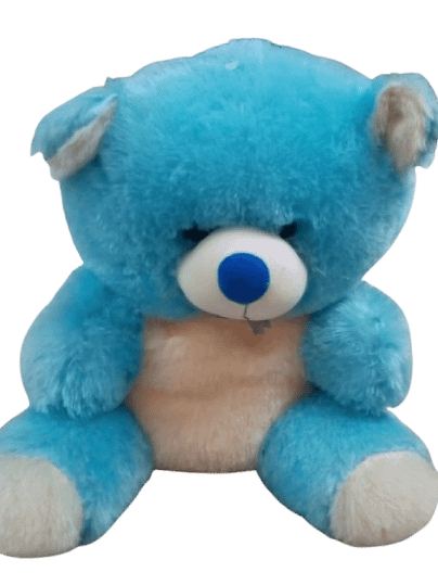 TEDDY BEAR product image (1)