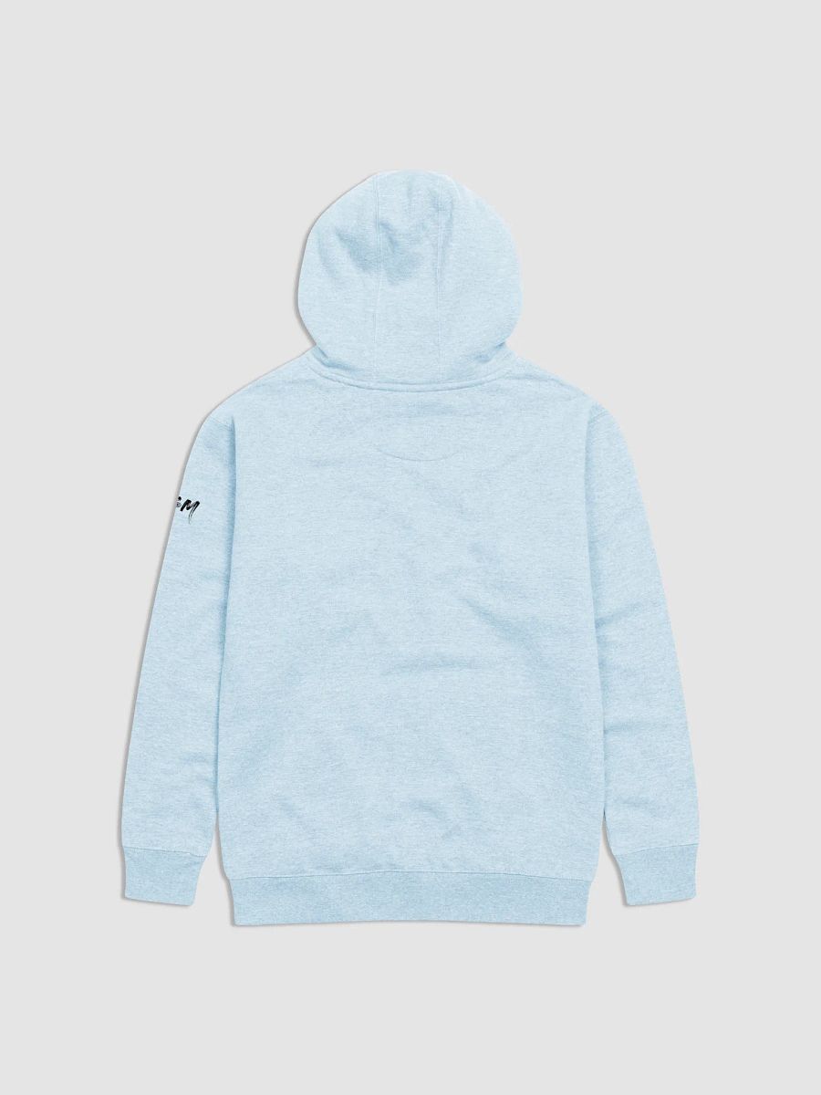 2nd best one in the room Premium Hoodie product image (6)
