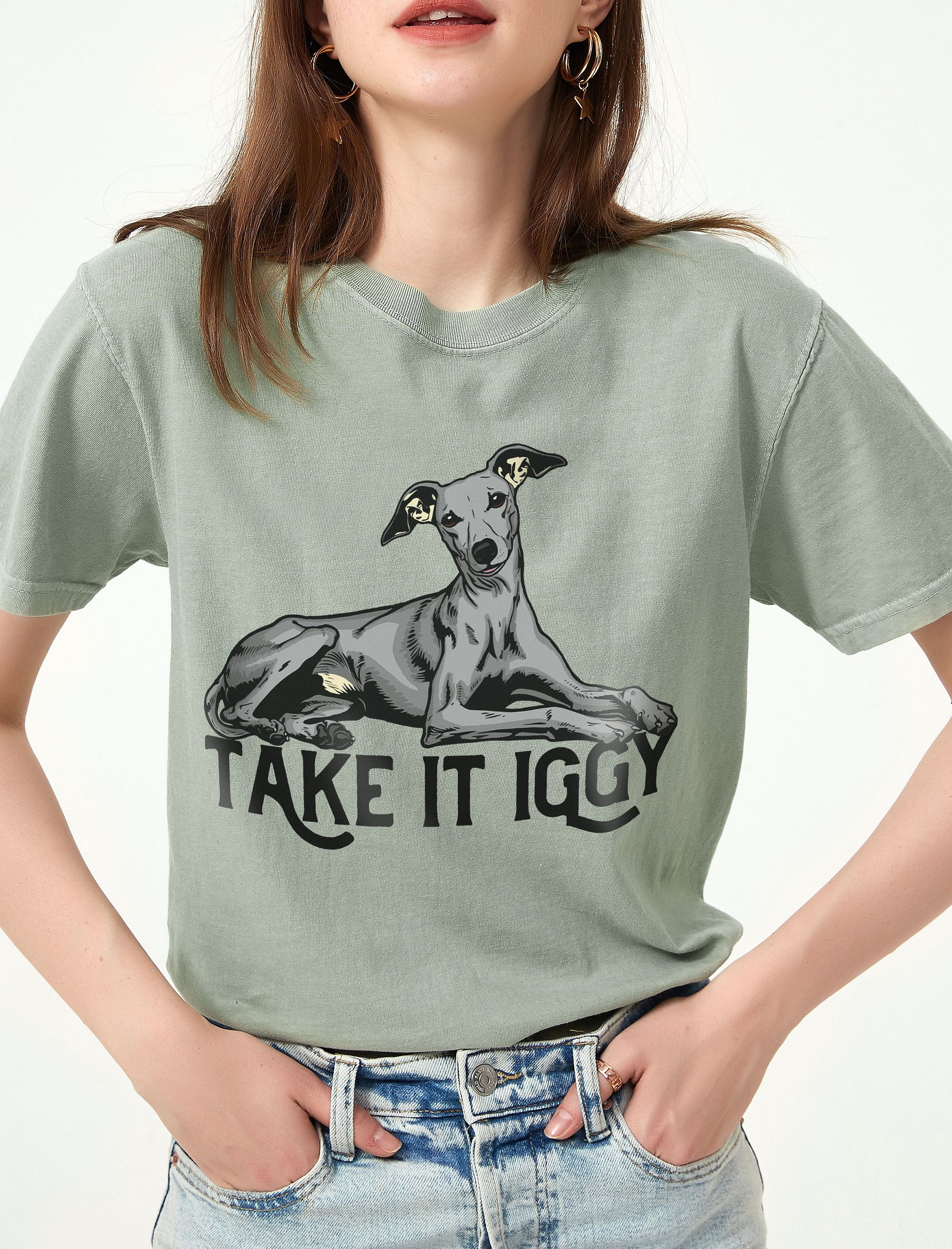 Take It Iggy T-Shirt of an Italian Greyhound | Funny T-Shirt for Iggy Paw-rents product image (1)
