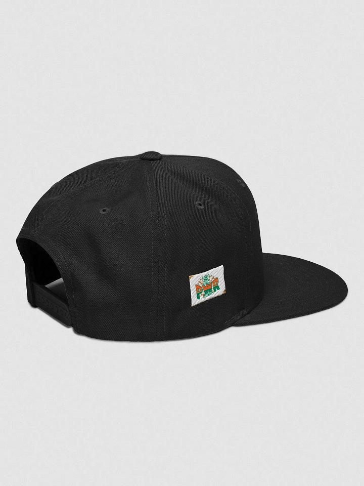 PWR Radio Tower Snapback product image (2)