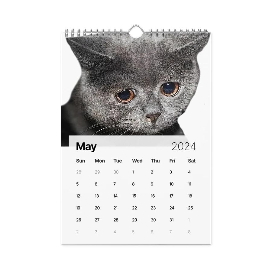 Wall Calendar (2024): Meme Cats product image (14)