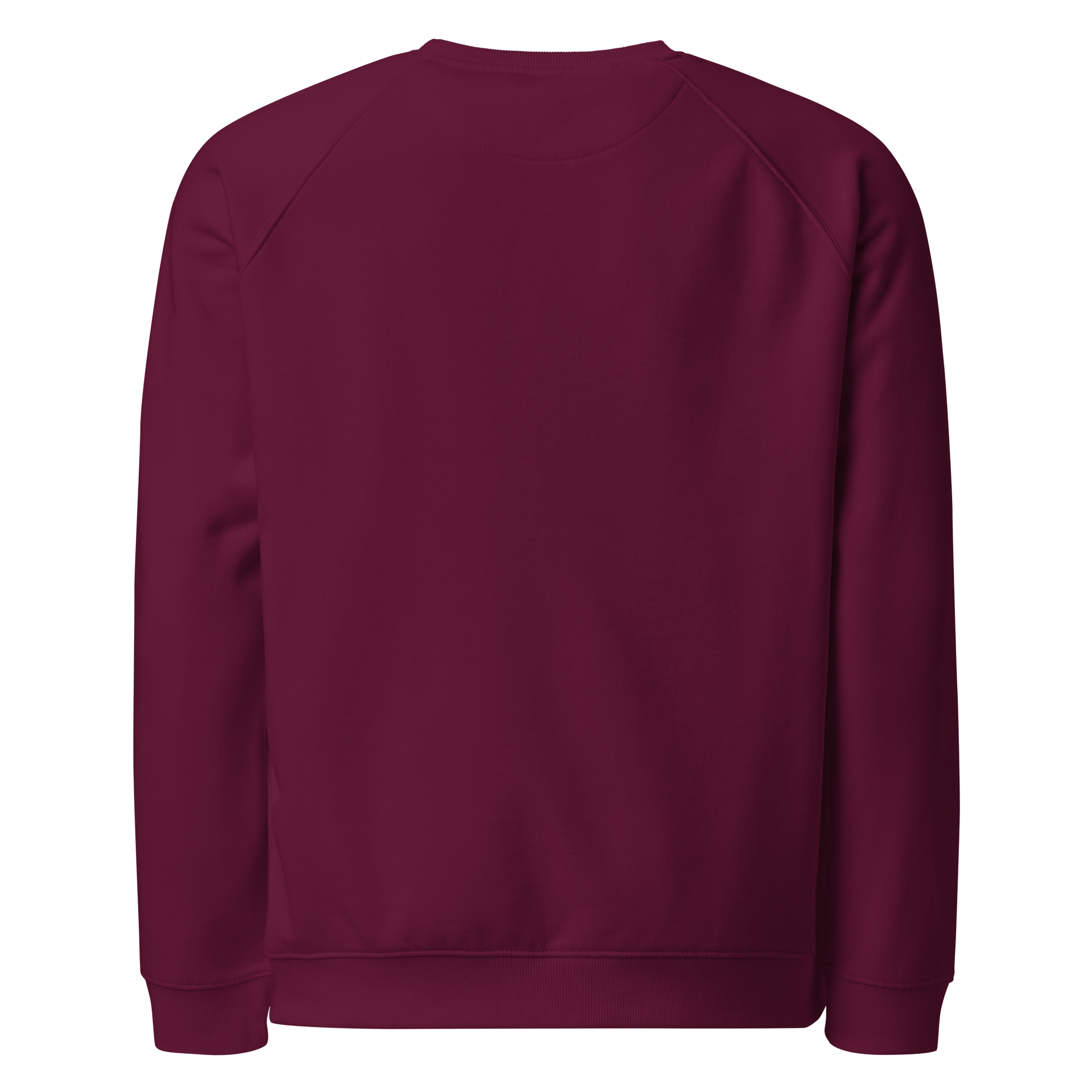 Alien Connection Organic Sweatshirt product image (2)