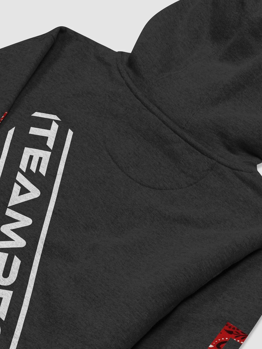 King Lou X TeamPEST Unisex Hoodie product image (4)