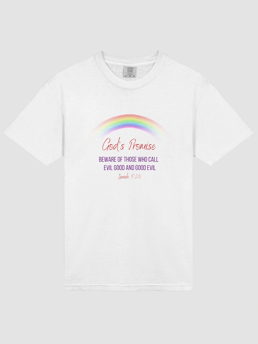 God's Rainbow Heavyweight T-Shirt product image (3)