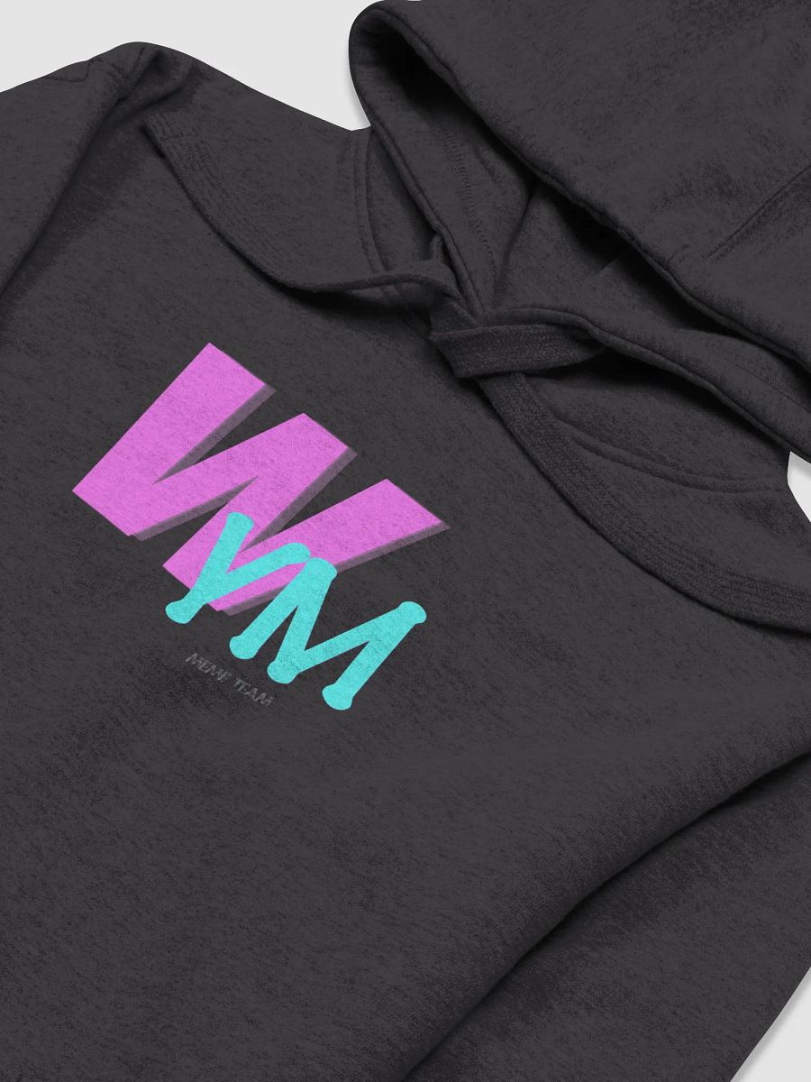 WYM Retro Hoodie product image (3)