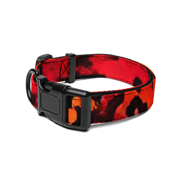 Blaze Pet Collar product image (2)